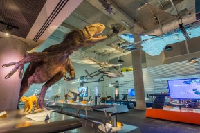 The Feathers to the Stars exhibition carries you through the amazing story of how ancient evolution gave birth to animal flight, how humans used imagination and engineering to get airborne and how outer space is the next frontier.